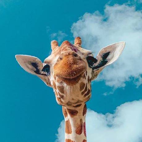 Personal Portfolio Website