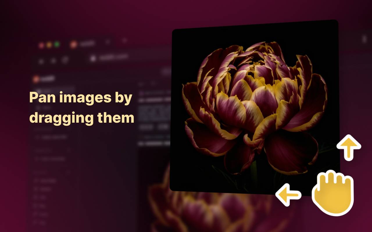 Enhanced Image Viewer image 2