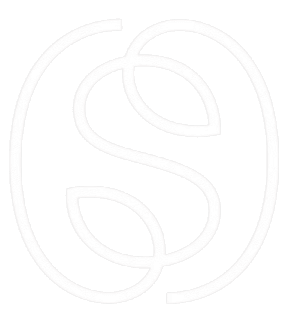 Portfolio | Sakshi Shetty