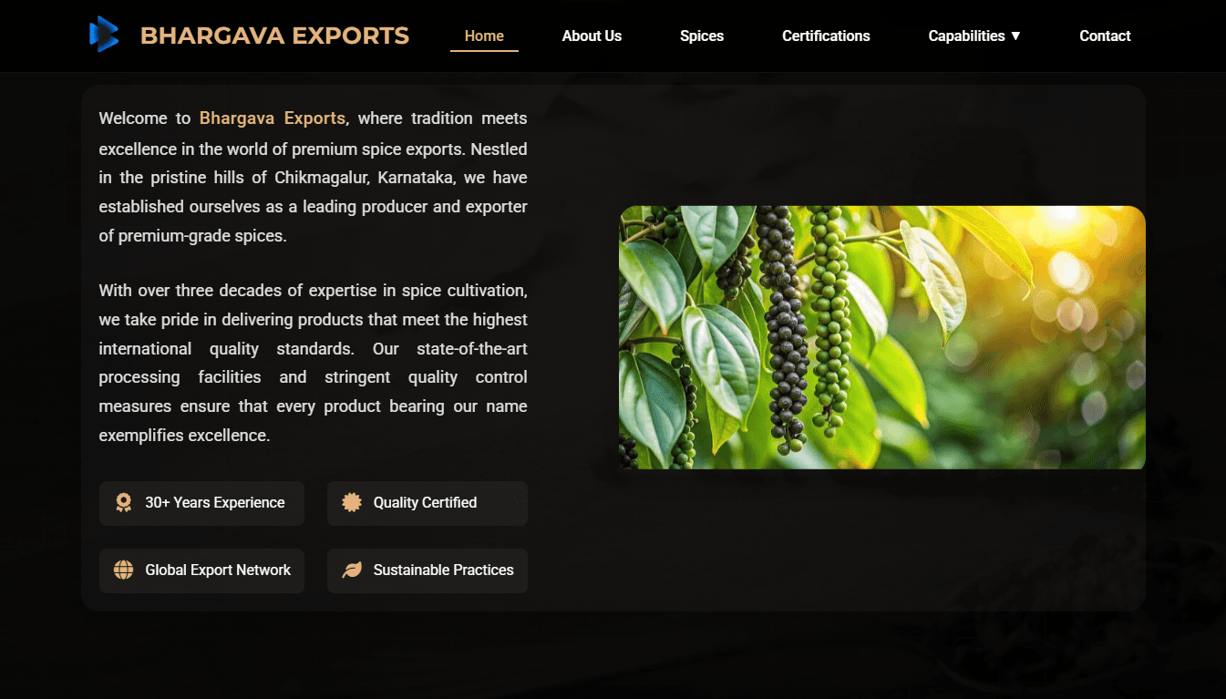 Bhargava Exports - Premium Spice Exporters image 1