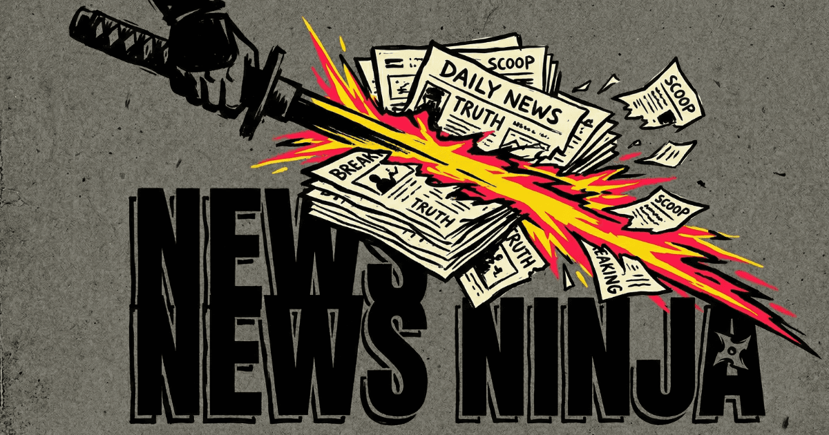 News Ninja image 2