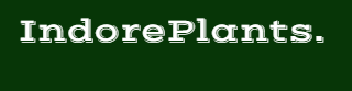 IndoorPlant