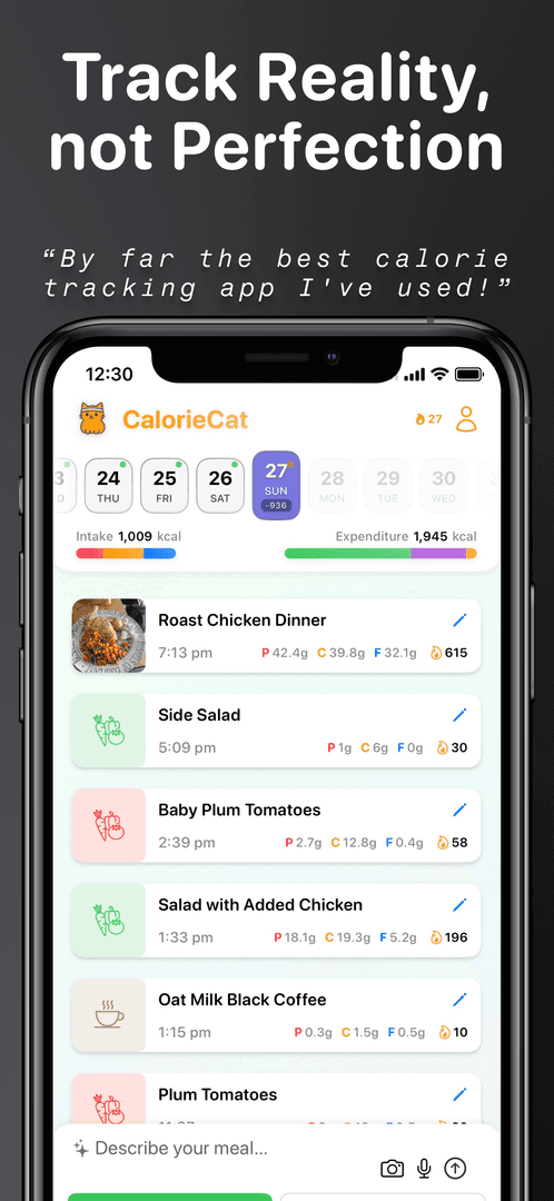 CalorieCat image 2