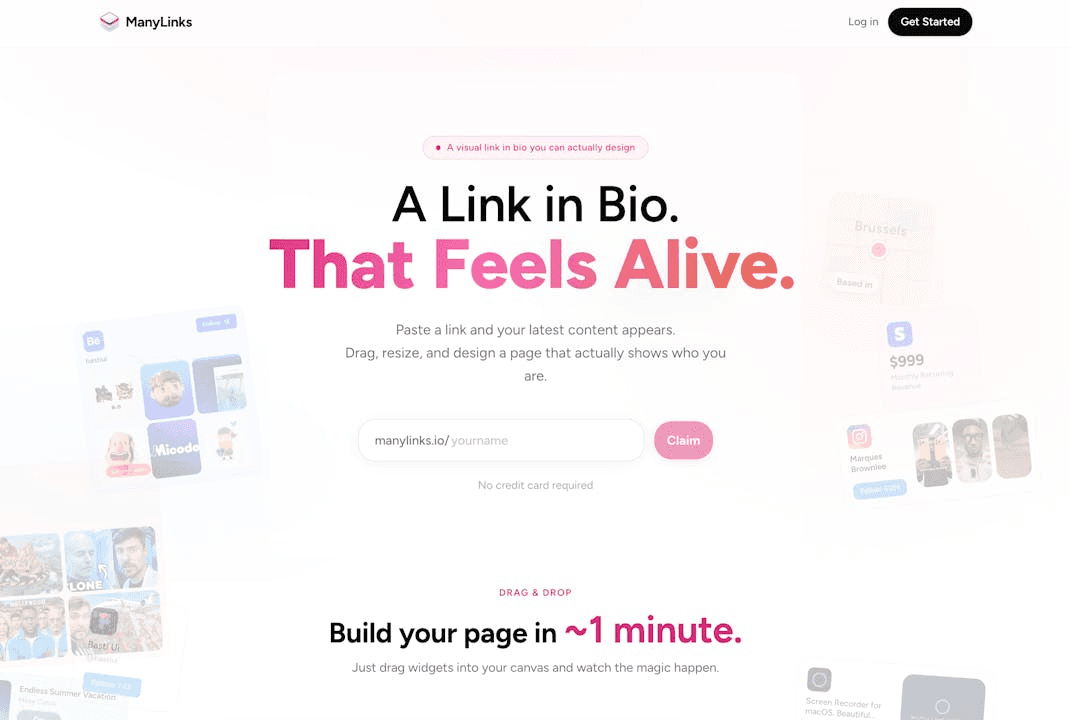 ManyLinks image 1