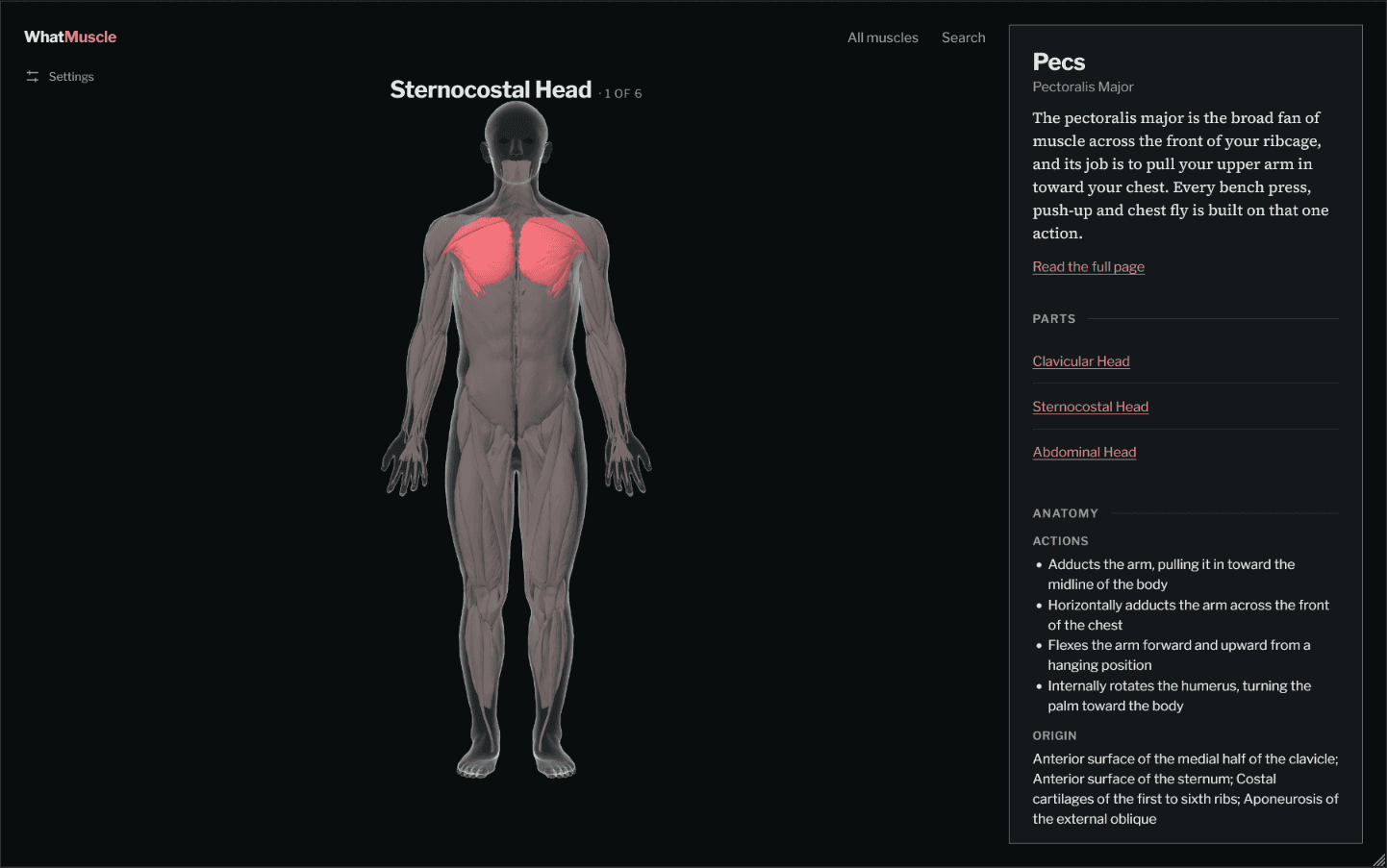 WhatMuscle image 4