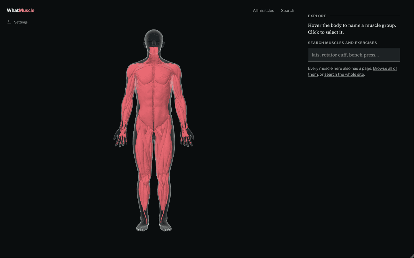 WhatMuscle image 3