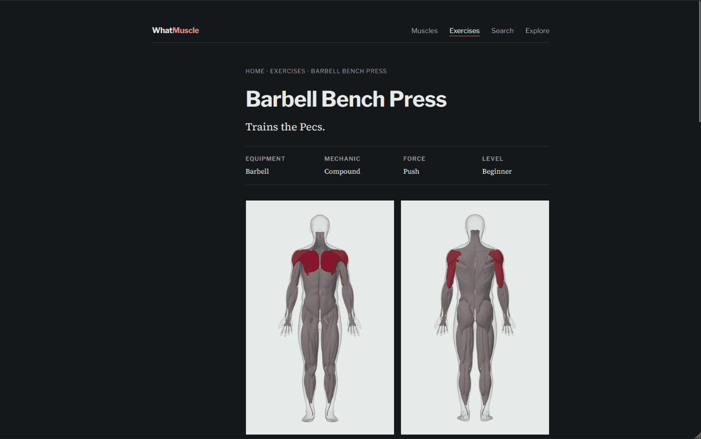 WhatMuscle image 5
