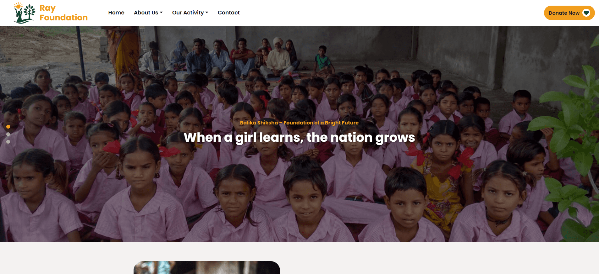 Ray Foundation image 1