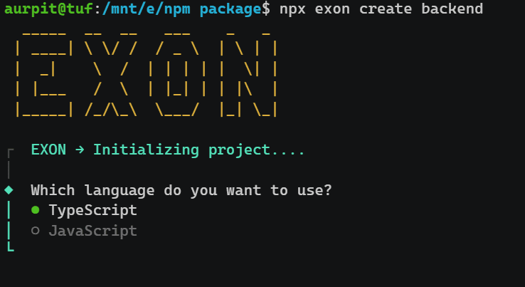 exon-cli -Build Express.js APIs in seconds. C image 1
