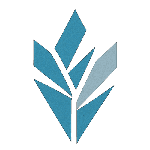 Kraked - Study Together