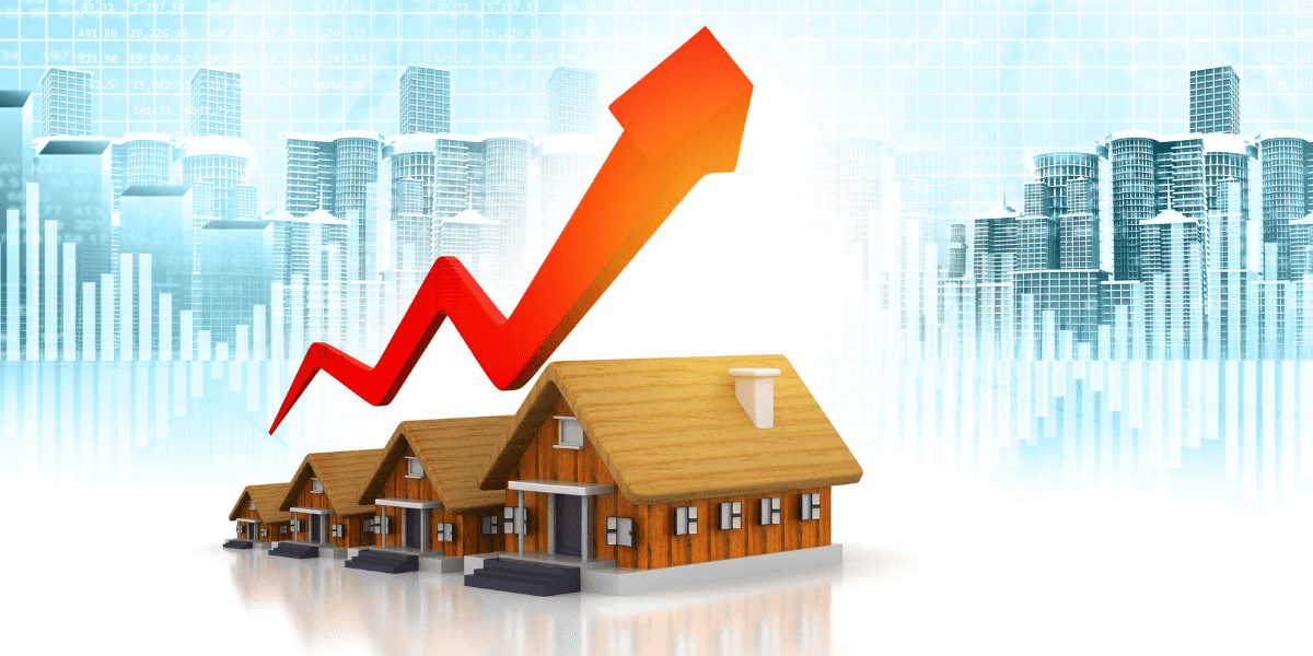 Real Estate Insights