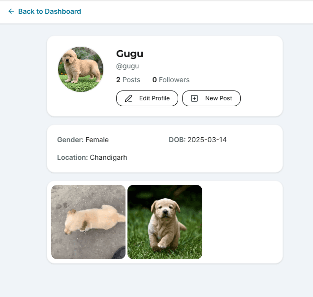 ScrollPet image 4