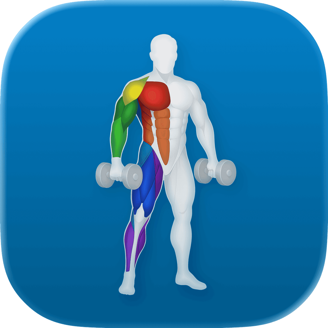 VigiGym – Workout Tracker