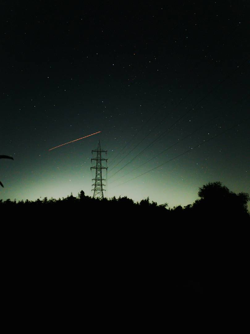Cosmos image 3