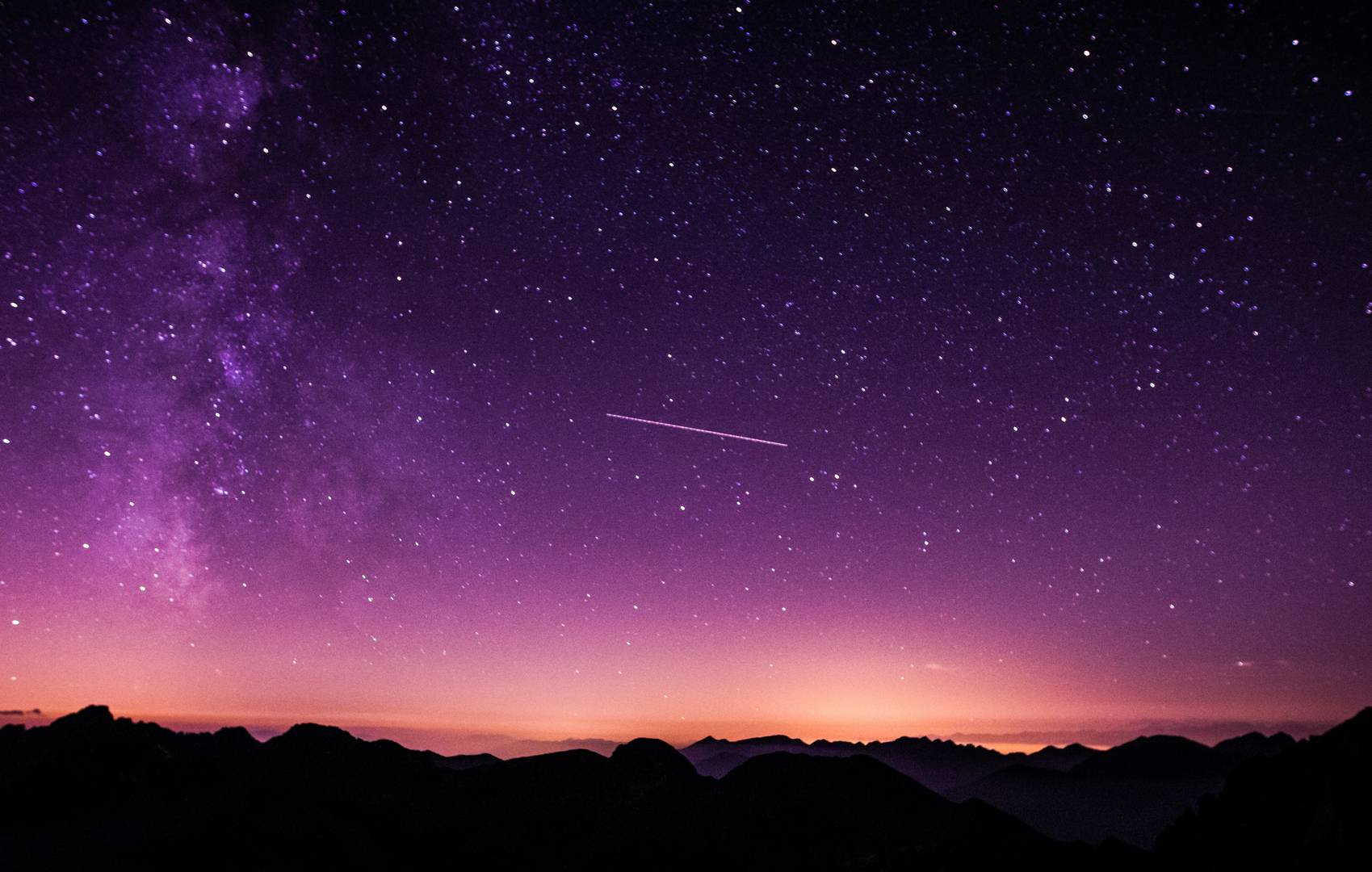 Cosmos image 4