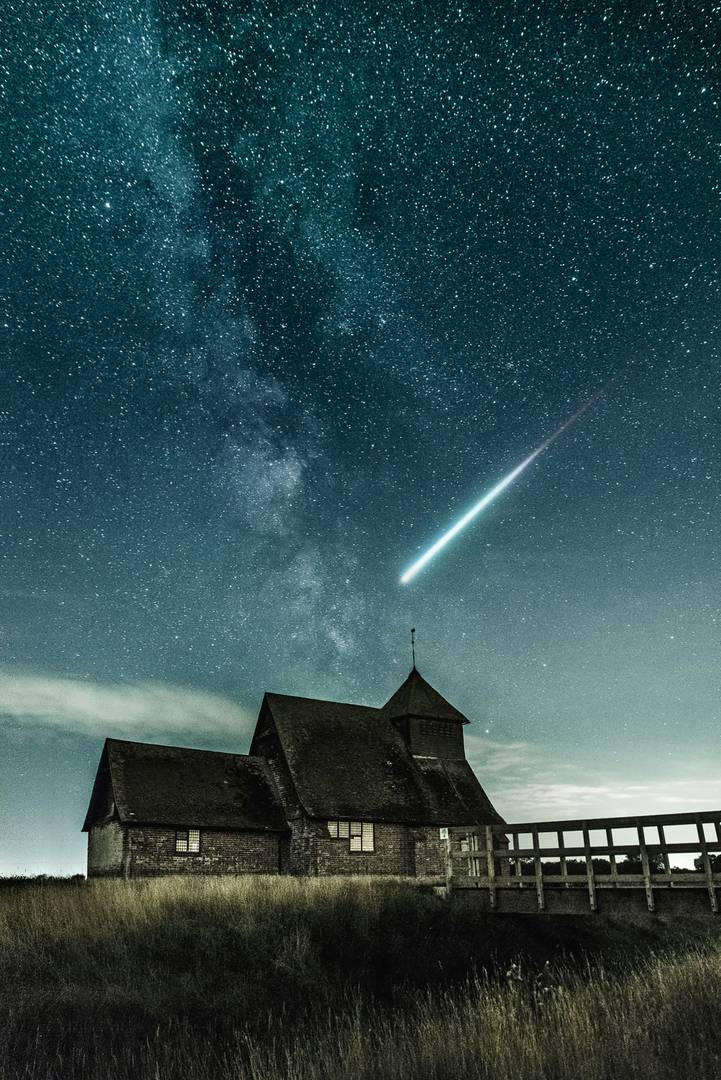 Cosmos image 5