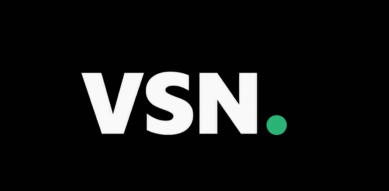 VSN Search