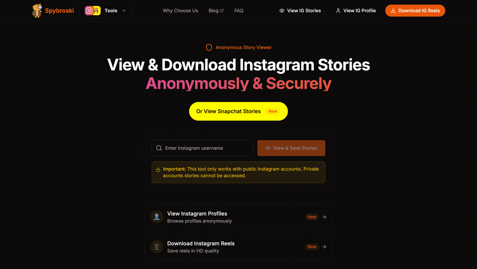 Spybroski.com image 2