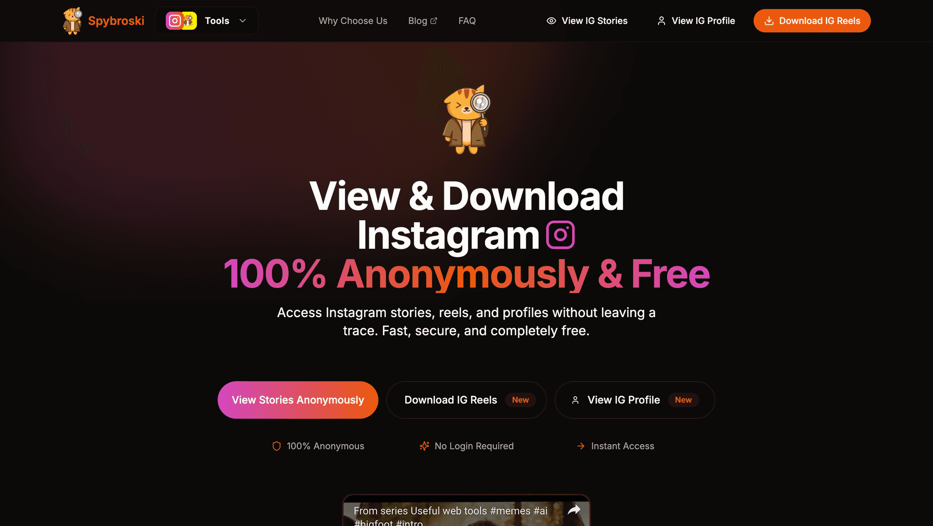 Spybroski.com image 3