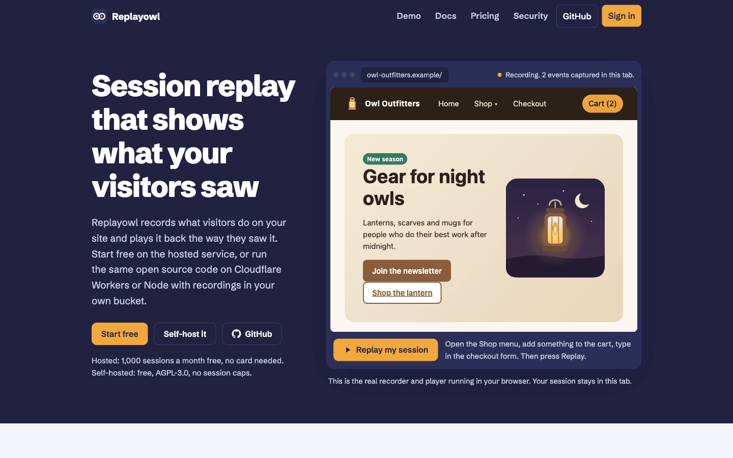 Replayowl image 1