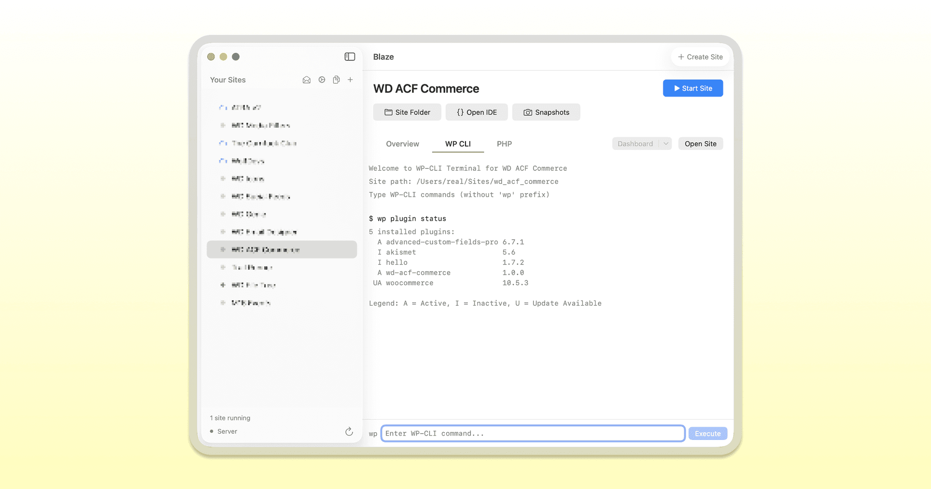 Blaze - Blazing Fast, WordPress Development image 2