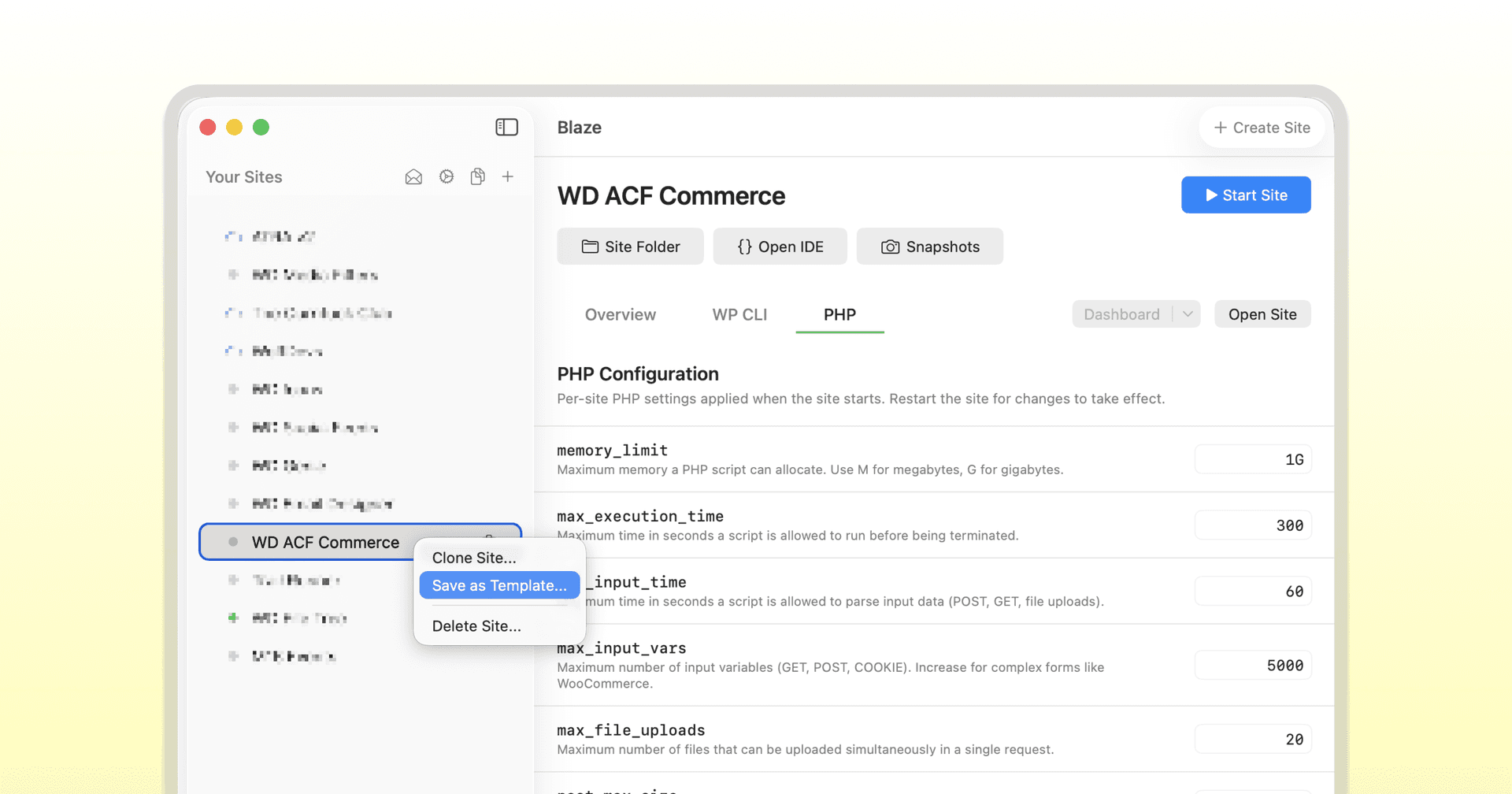 Blaze - Blazing Fast, WordPress Development image 4