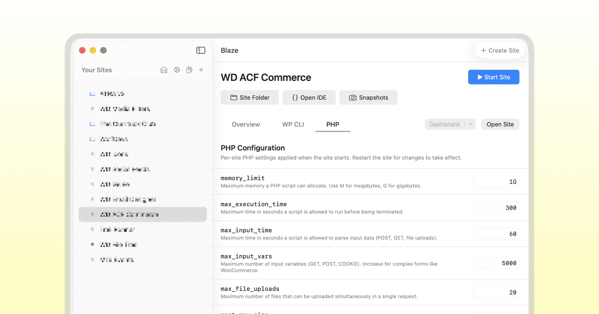 Blaze - Blazing Fast, WordPress Development image 3