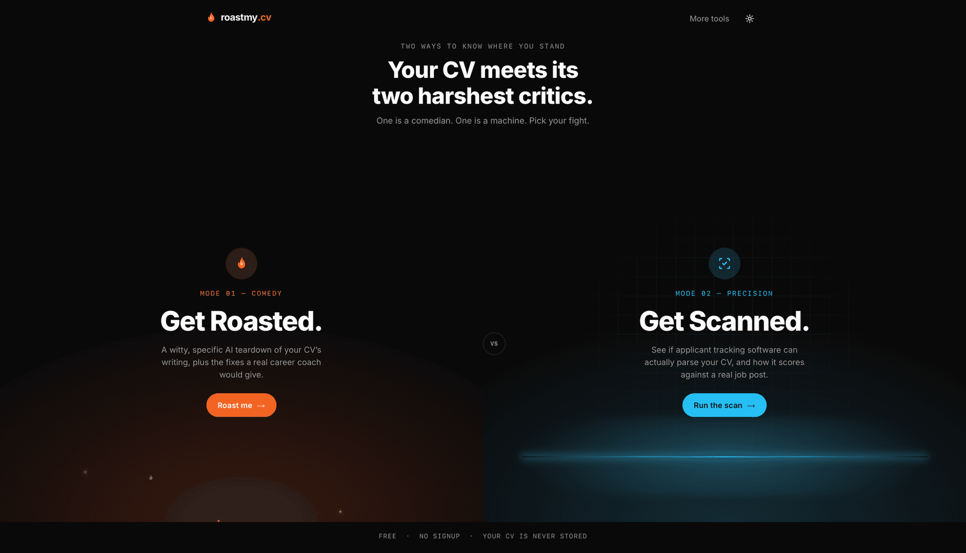 roastmy.cv image 1