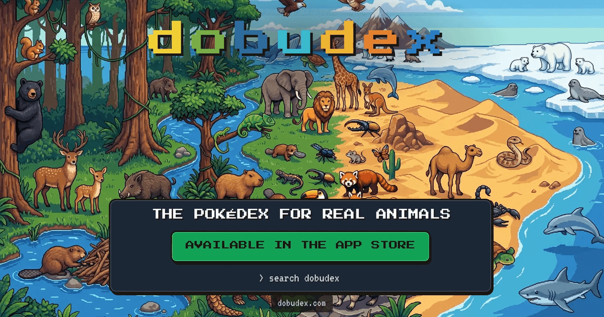 dobudex image 4