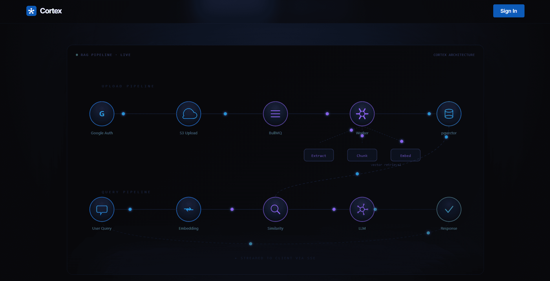 Cortex image 2
