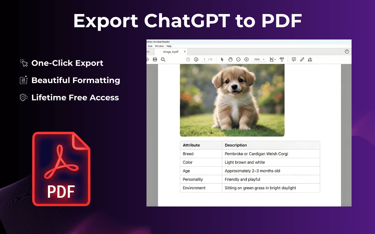 ChatGPT to PDF Chrome Extension image 2