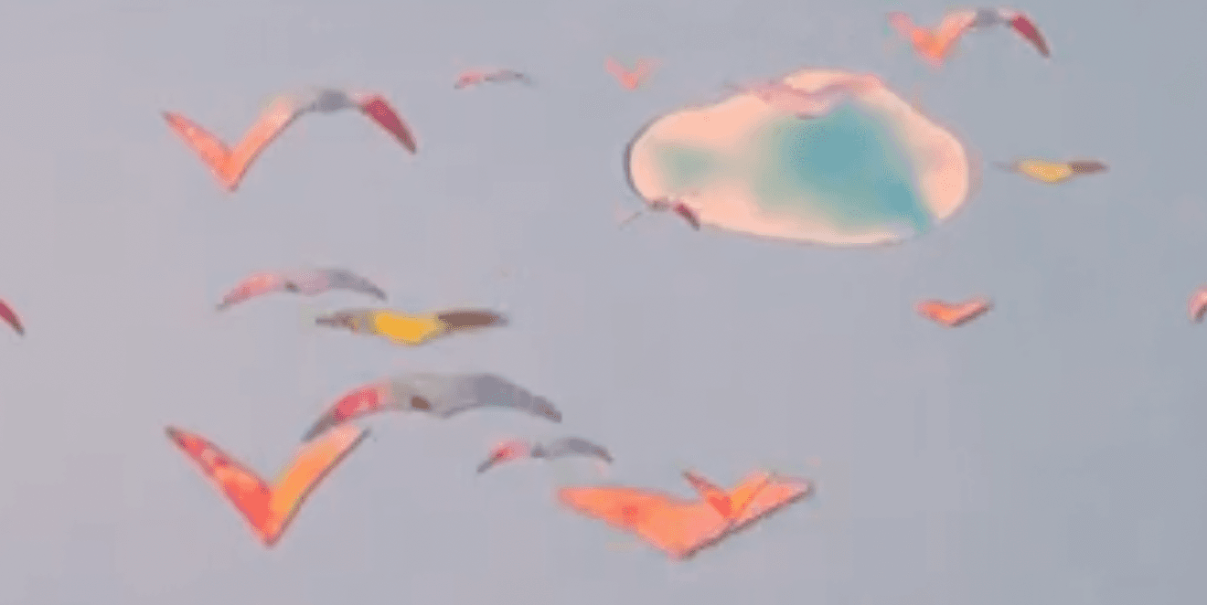 Home is a Ripple image 1