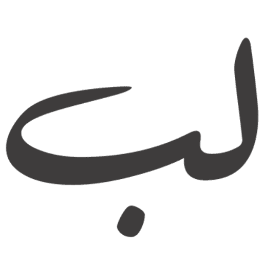 Lubb Writer