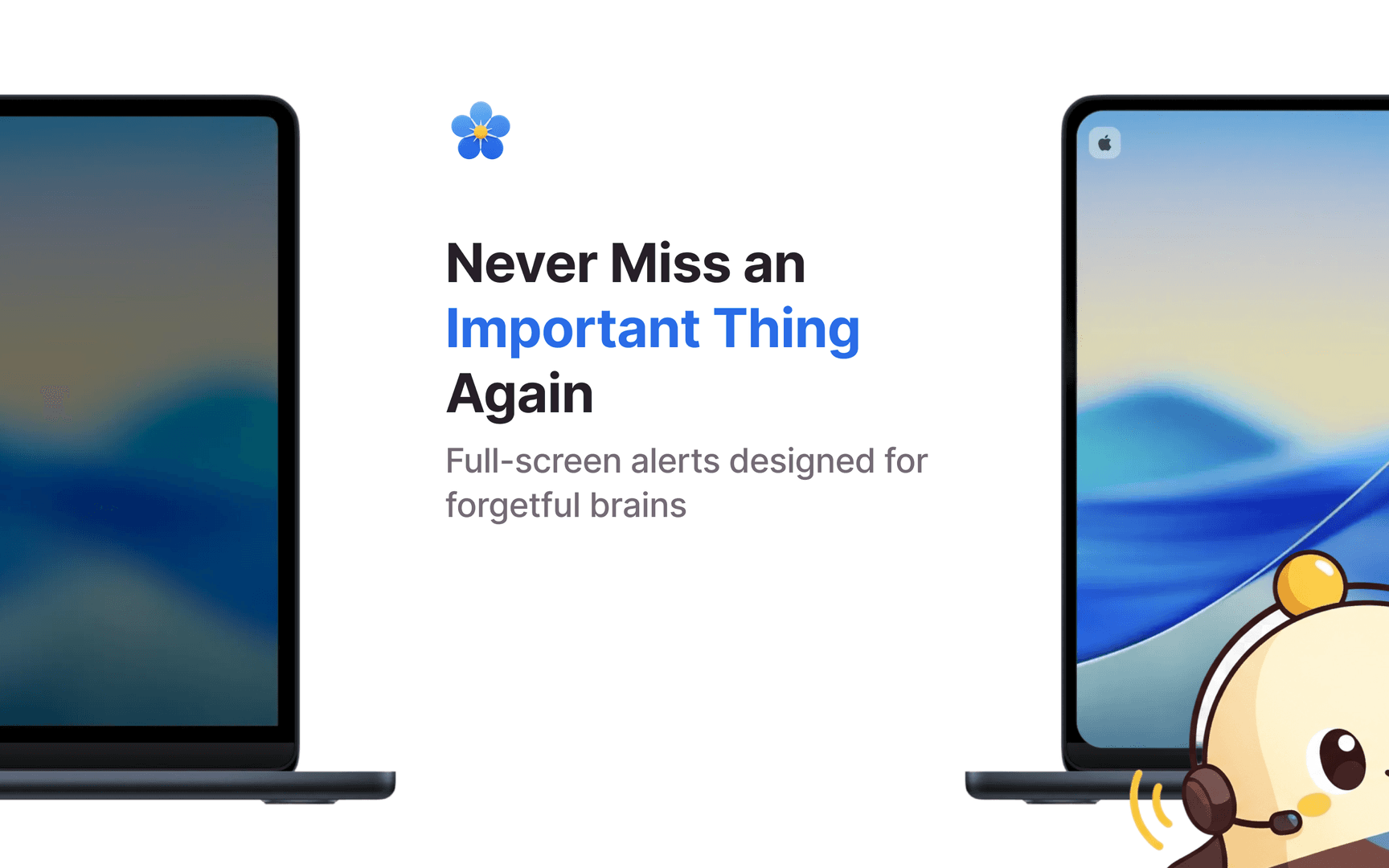 Chime - Remember Everything image 3