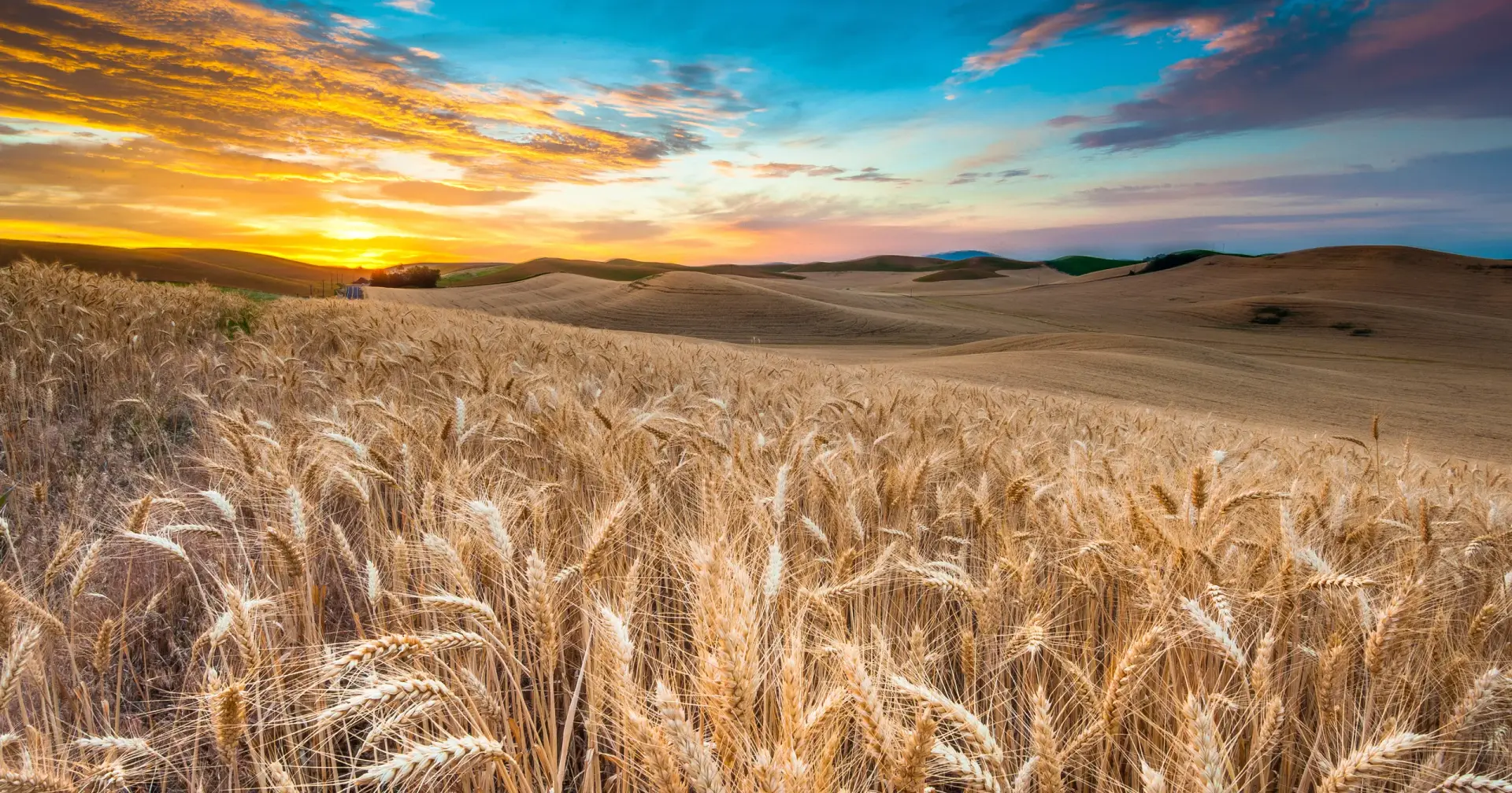 How I Explored Android 16’s Biggest Features Before My Next App Build