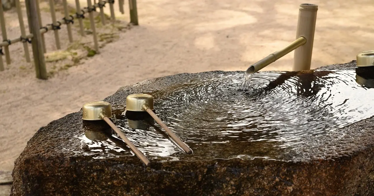 Medical & Wellness Travel Market Update