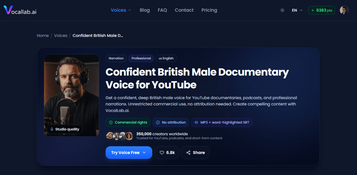 Vocallab AI image 3