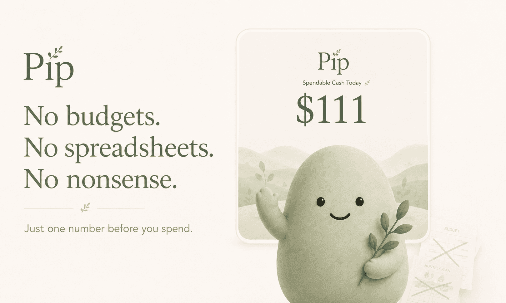 Pip image 3