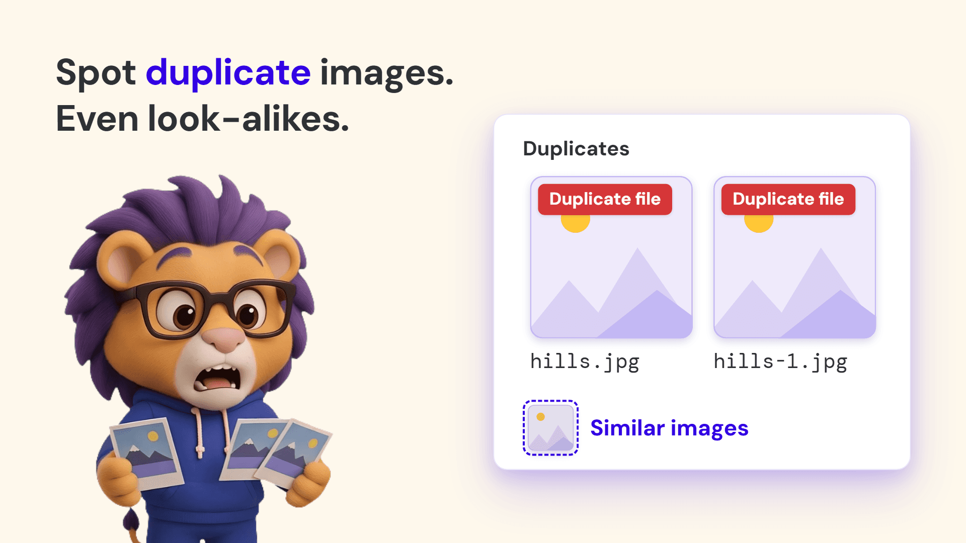 Filikod – ALT Text Checker for WordPress image 5