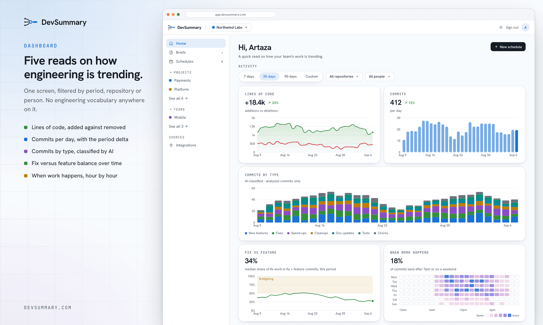 DevSummary image 2