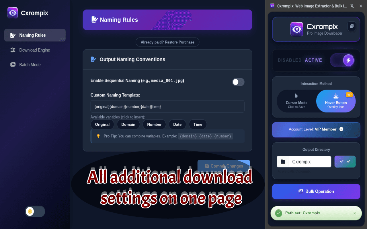 Cxrompix: Web Image Extractor Bulk Downloader image 4