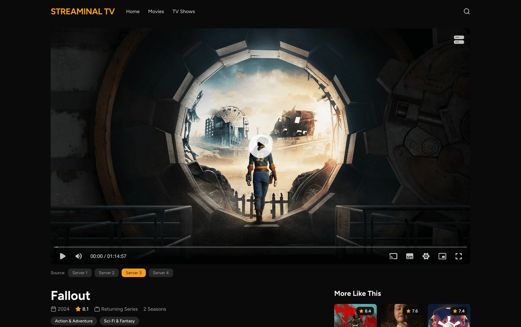 Streaminal image 3