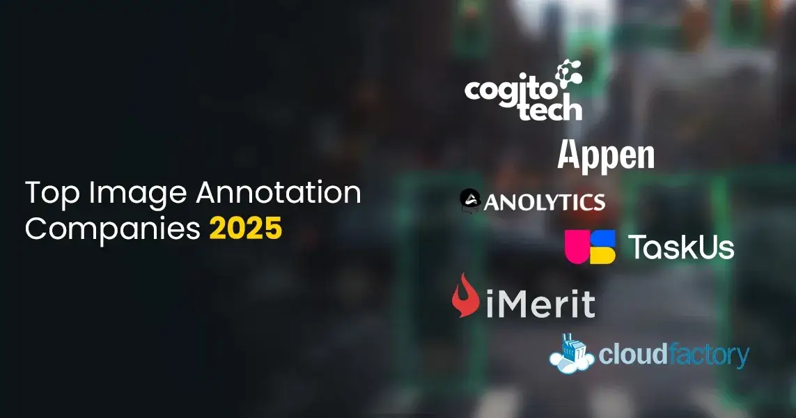 Top Image Annotation Companies 2025