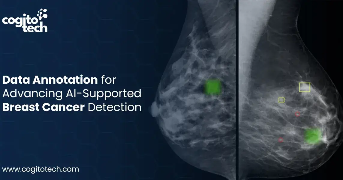 Mammogram Data Annotation for AI-Driven Breast Cancer Detection