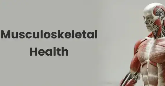 What is Musculoskeletal Health?