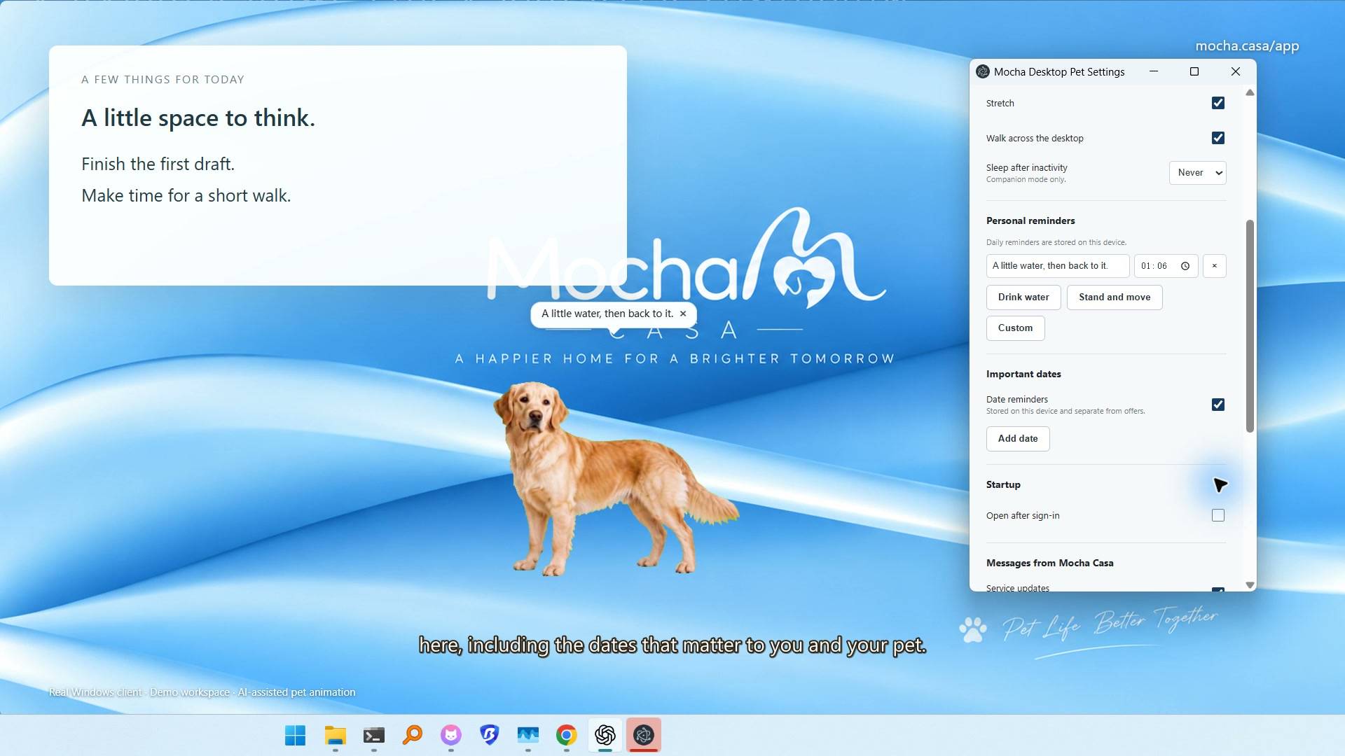Mocha Casa Desktop Pets image 4