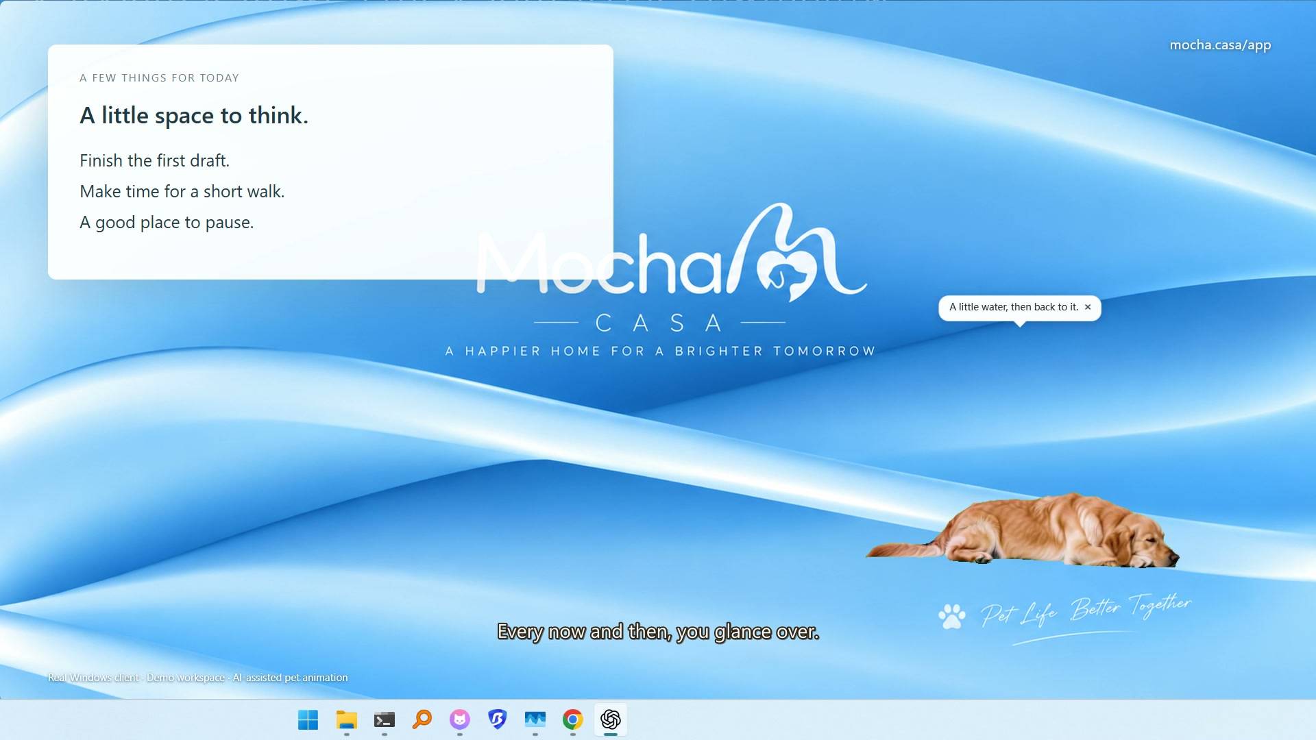 Mocha Casa Desktop Pets image 3