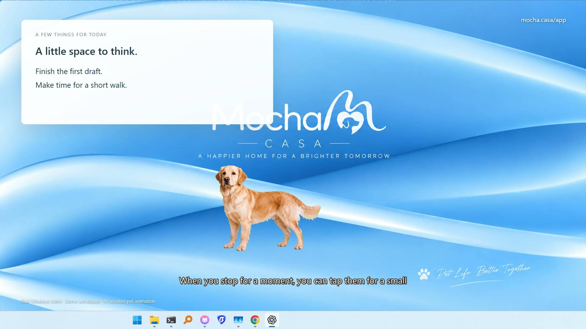 Mocha Casa Desktop Pets image 1