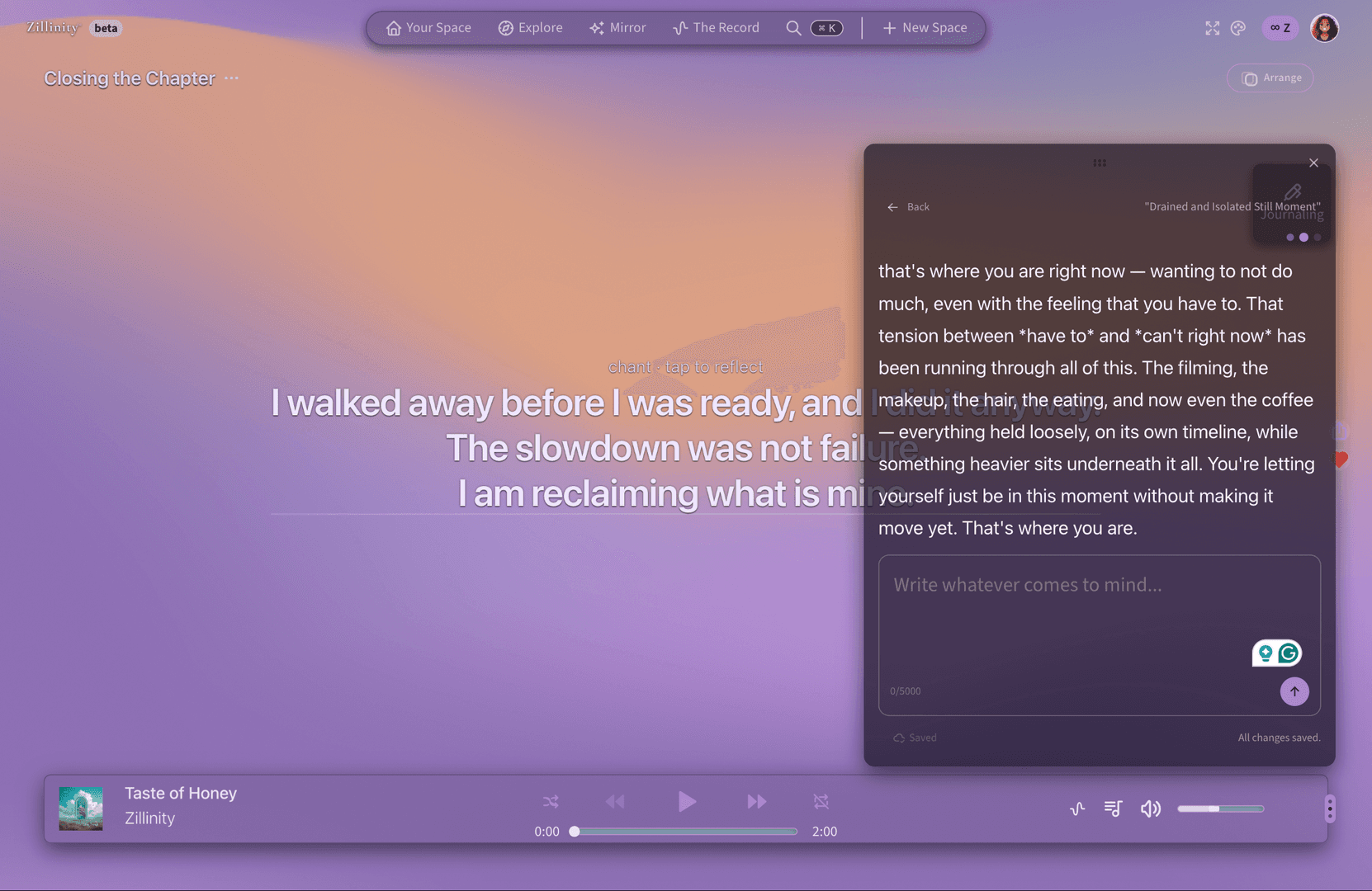 Zillinity image 2