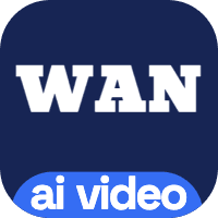 Wan Video